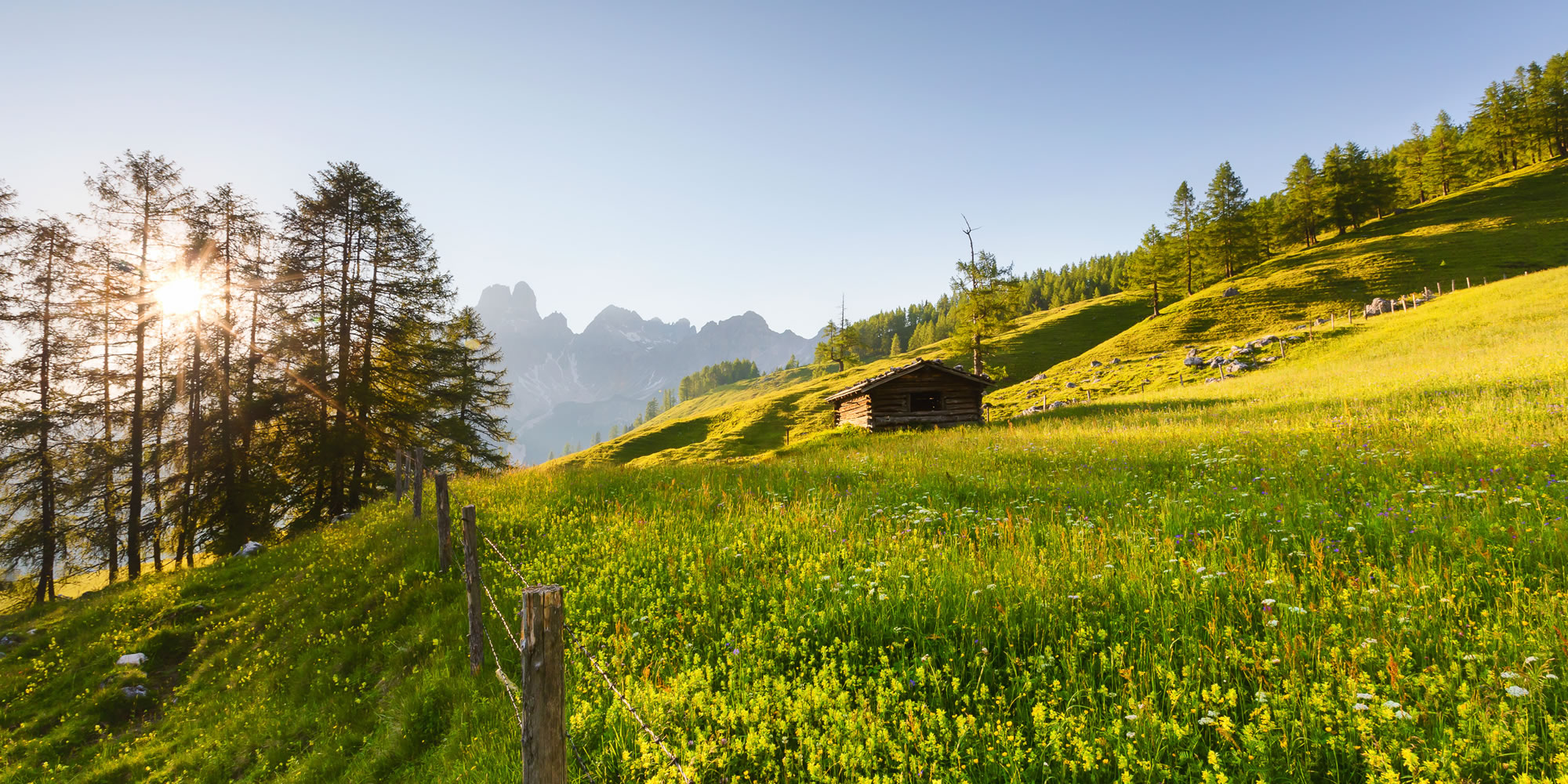 Almlandschaft © Coen Weesjes