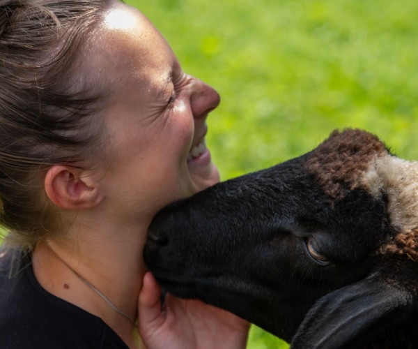 Manchmal sind Tiere die besseren Freunde